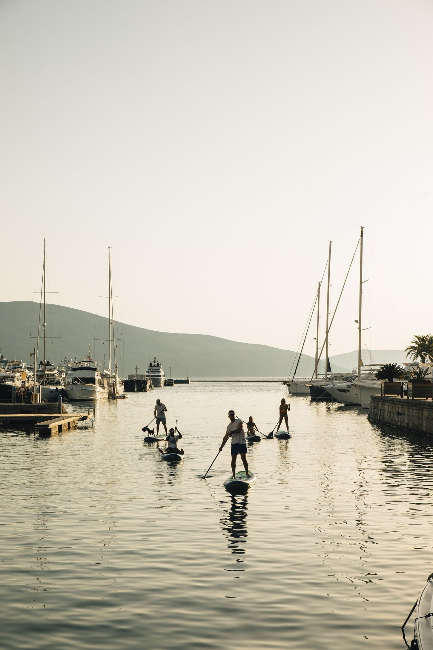 People paddleboarding in a tranquil marina at sunset, with sailboats and yachts moored along the calm water, backed by soft hills in the distance.