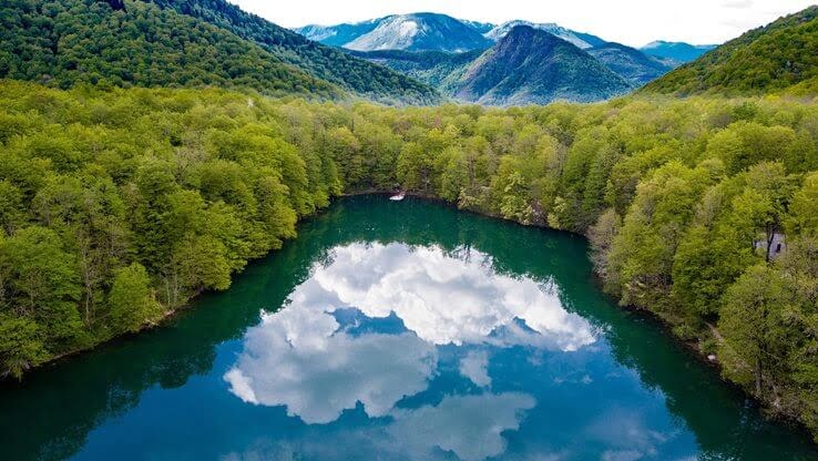 Lake and forest