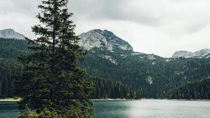 Lake, forest and mountain